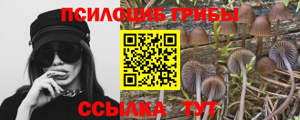 Галлюциногенные грибы ЛСД Маркс