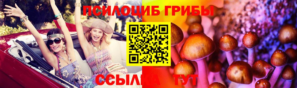 Маркс  Псилоцибиновые грибы прущие грибы  Вход с VPN 